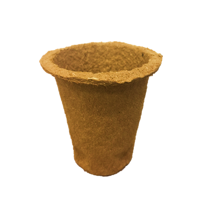 biodegradable pot